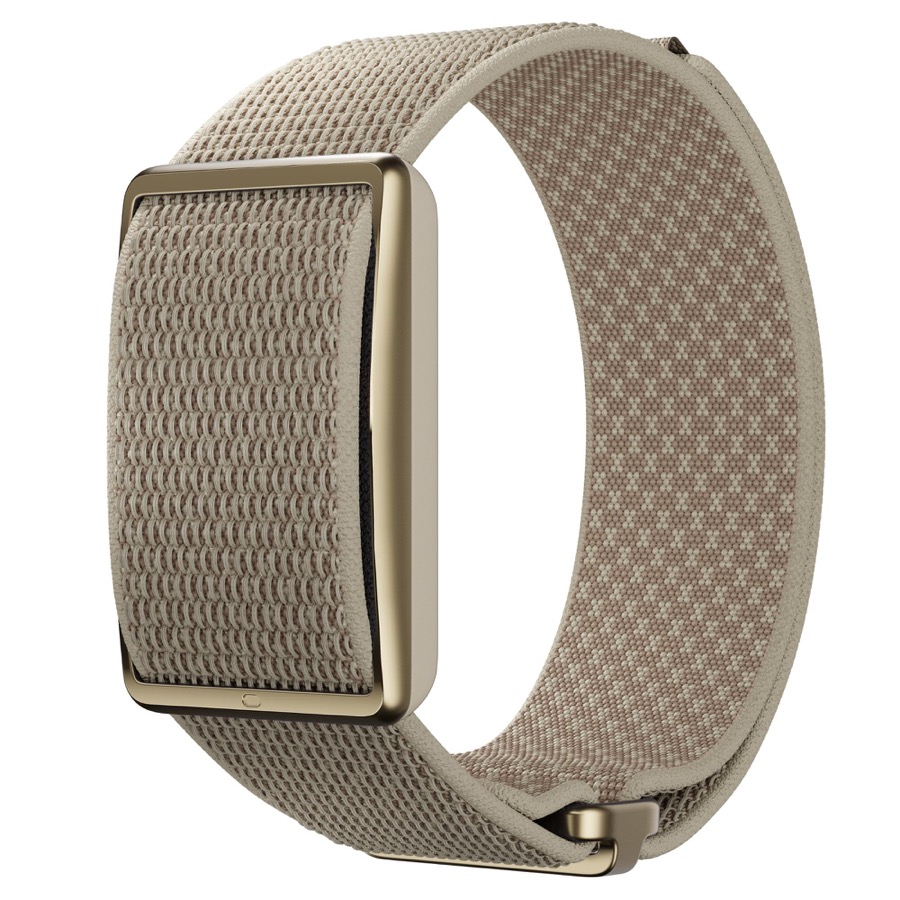 Polar Training Data Accessory - POLAR Loop Smart Screen-Free Wearable Health & Fitness Band with 24/7 Heart Rate